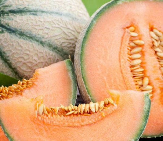 Melone, un amico per l’estate
