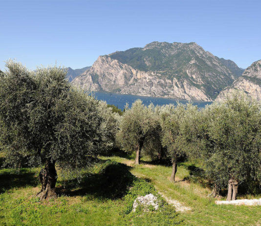Foodepress.it ha provato per voi i prodotti di Madonna delle Vittorie