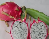 Pitaya