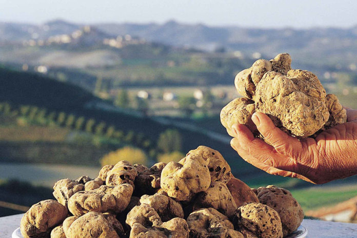tartufo-online