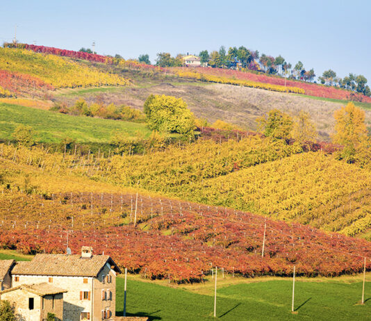 Una domenica d’autunno a Vignola: terra d’eccellenze enogastronomiche dove nasce il prosciutto cotto Citterio