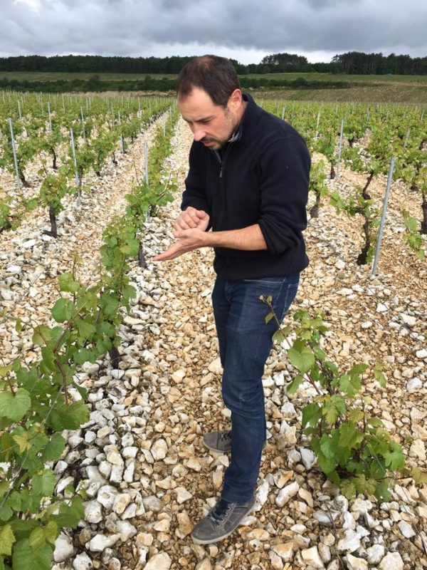 Domaine Christophe sebastien vigne chablis wine terroir importazione