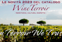 novità catalogo 2023 wine terroir import distribuzione vini
