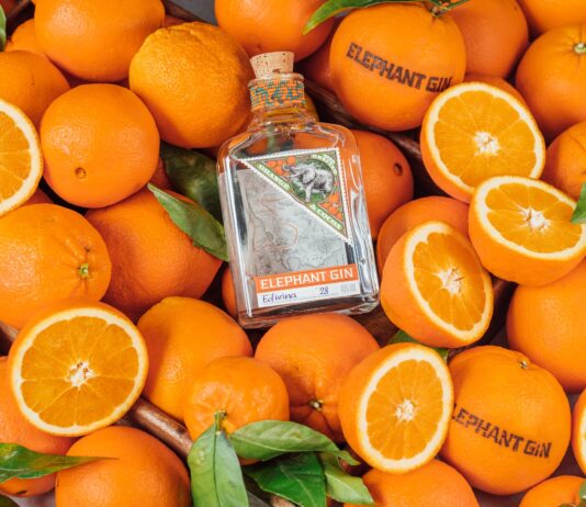 Elephant Gin e “Tusker Tonic”