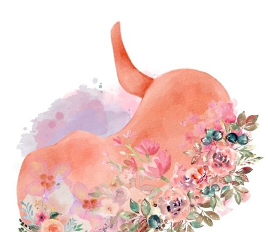 Chirurgia bariatrica: la primavera nella cura dell’obesità?