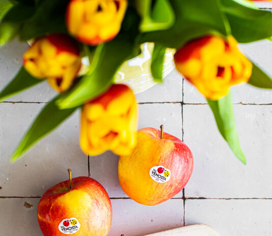 Pinova Val Venosta, la mela equilibrata amica del benessere