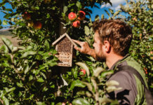 Uno per tutti, tutti per uno. In Val Venosta si gioca di squadra!