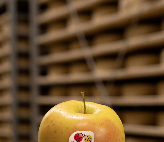 Mela Val Venosta fa tappa in Veneto