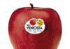 RED DELICIOUS VAL VENOSTA. La seduzione ha un colore. Ed è rosso Val Venosta.