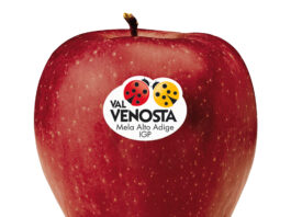 RED DELICIOUS VAL VENOSTA. La seduzione ha un colore. Ed è rosso Val Venosta.