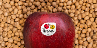 Mela Val Venosta tra i sapori d’Italia fa tappa in Toscana