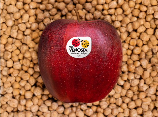 VV_Applapairing_imm_Toscana_gazzettagusto_1