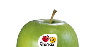 Granny Smith Val Venosta, la regina in verde delle valli alpine