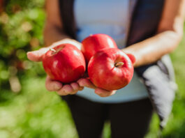 Bonita, la Mela BIO Val Venosta che riconosci al primo morso