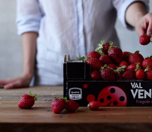 Fragole Val Venosta, missione dolcezza. Disponibili da fine giugno