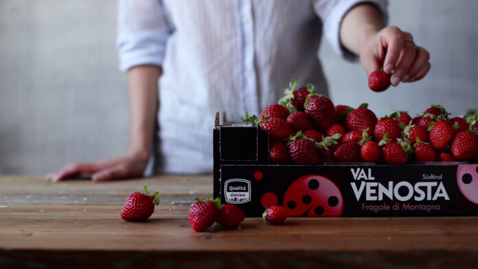Fragole Val Venosta_
