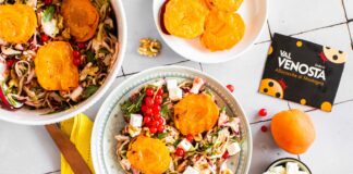 Insalata di cavolo cappuccio e radicchio con Albicocche Val Venosta grigliate